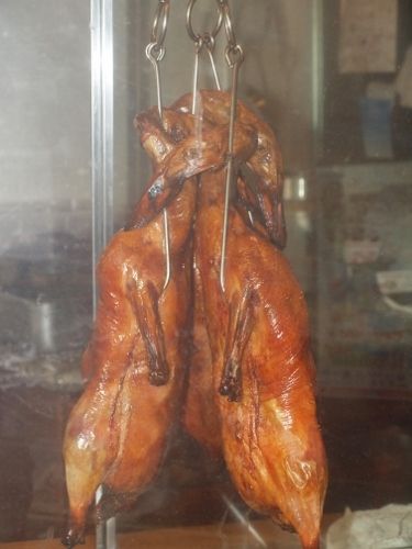 P6296141 (375x500).jpg