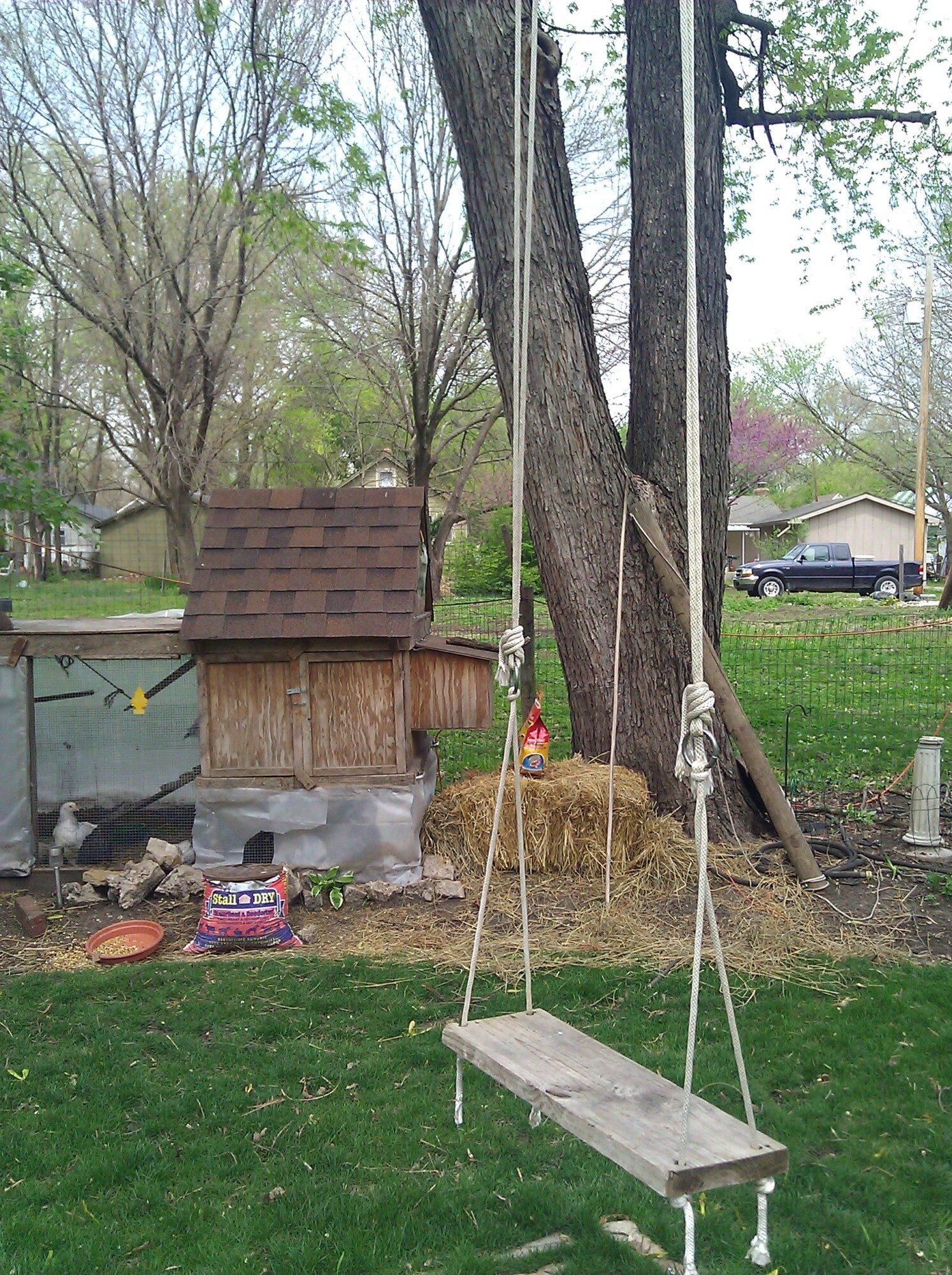 BantyShanty