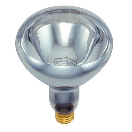 Clear Brooder Bulb