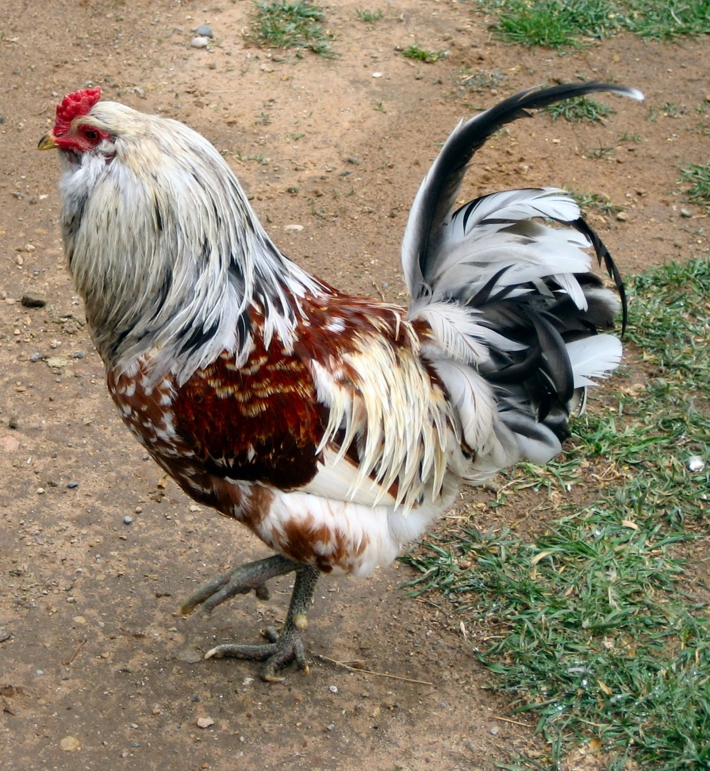 652