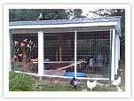 chicken-coops-incubator.jpg