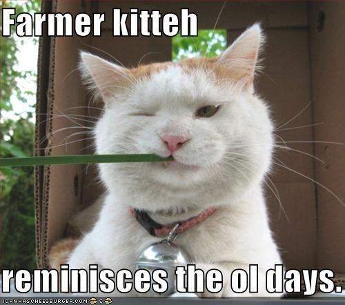 lolcat old