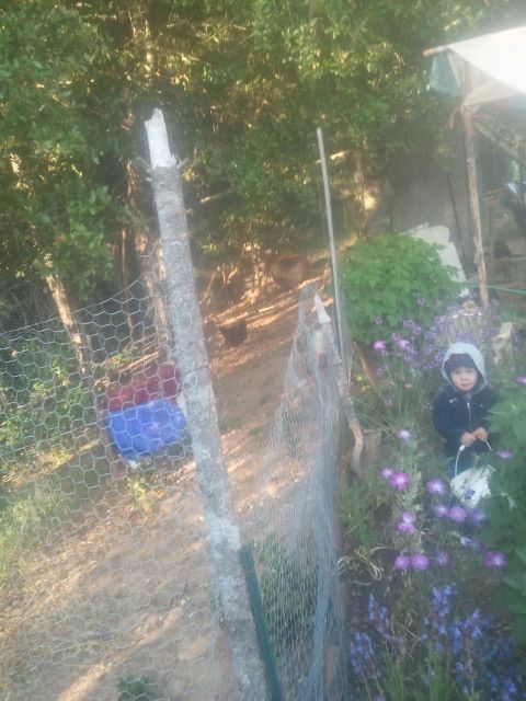 2012-05-25 19.45.50.jpg
