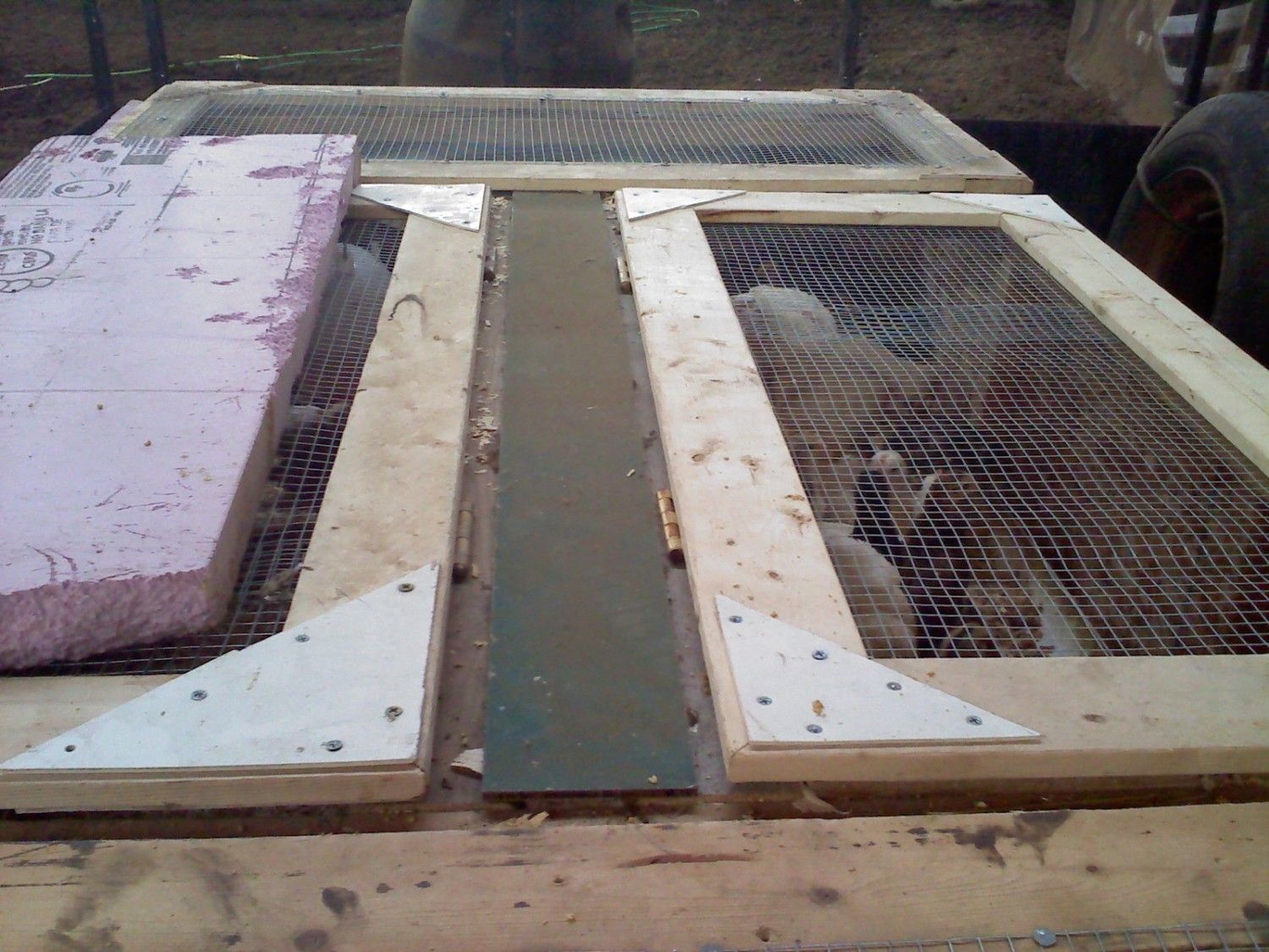 top view 2.jpg