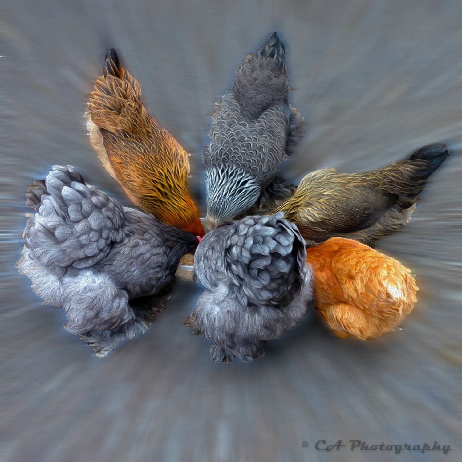 Turning my photos into Artwork. If anyone is interested please feel free to contact me.
