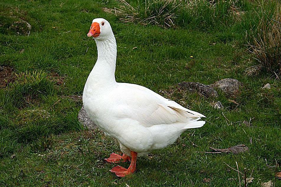772255572.jpg