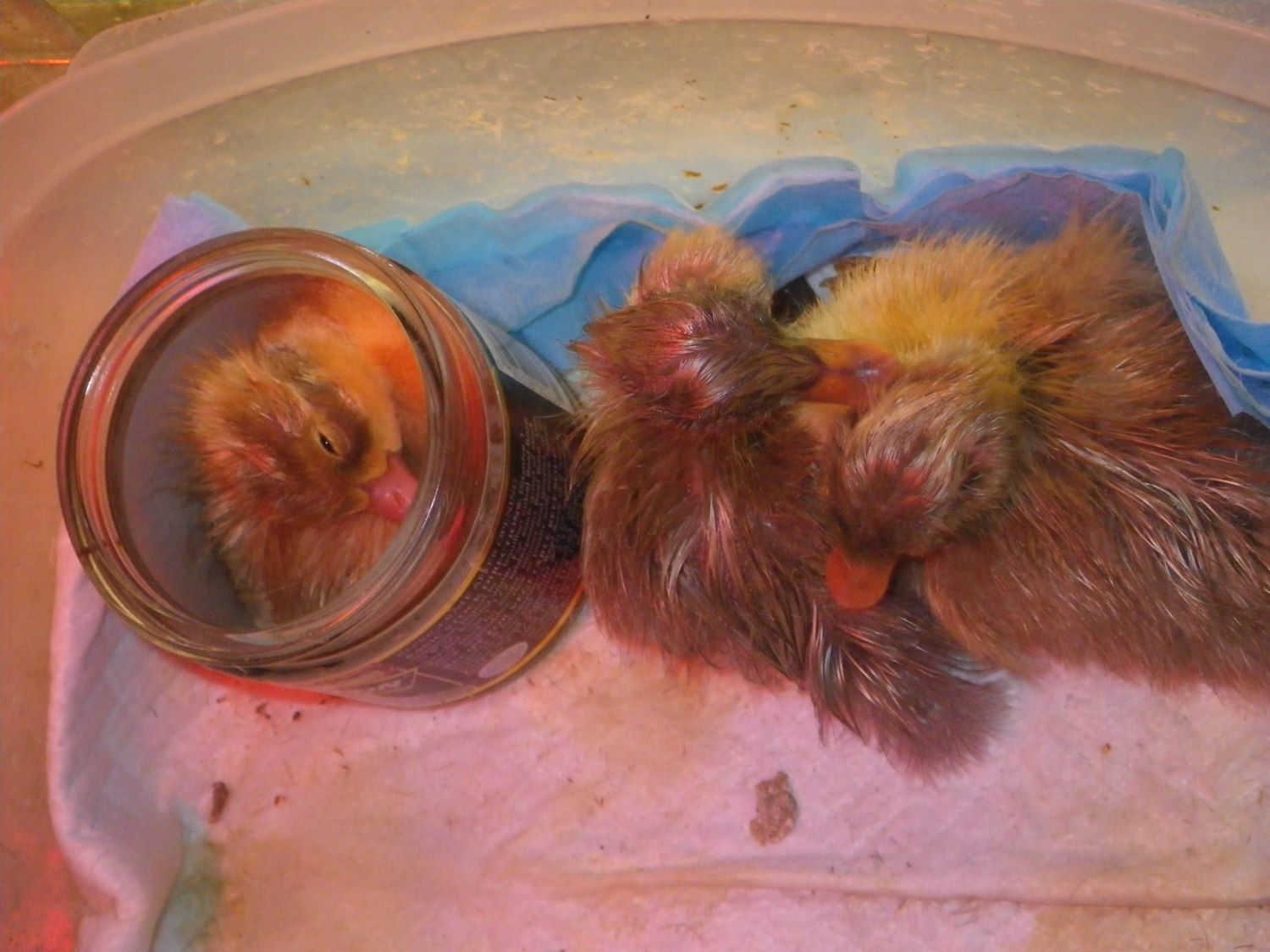 April 2012 025.JPG