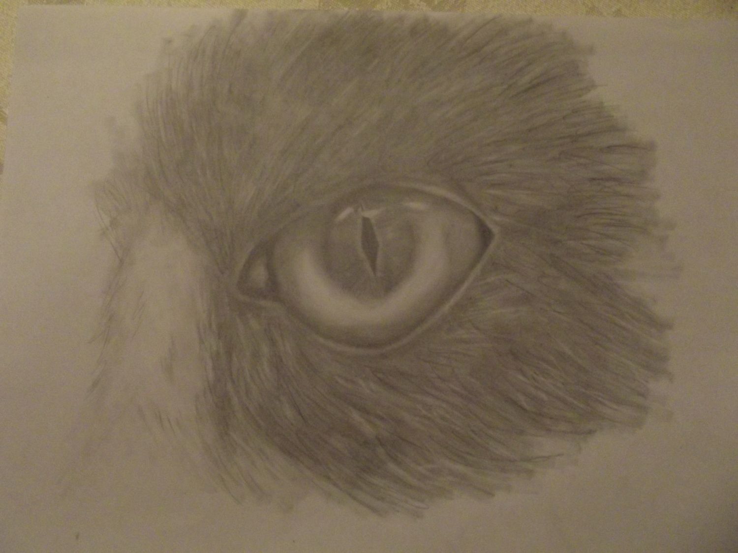Art 12 001.jpg