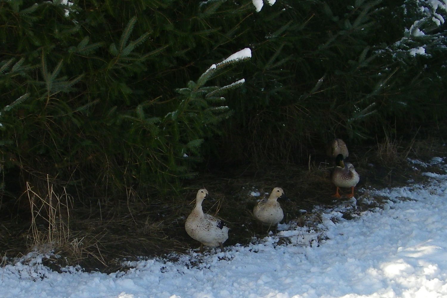 January 2012 170.JPG