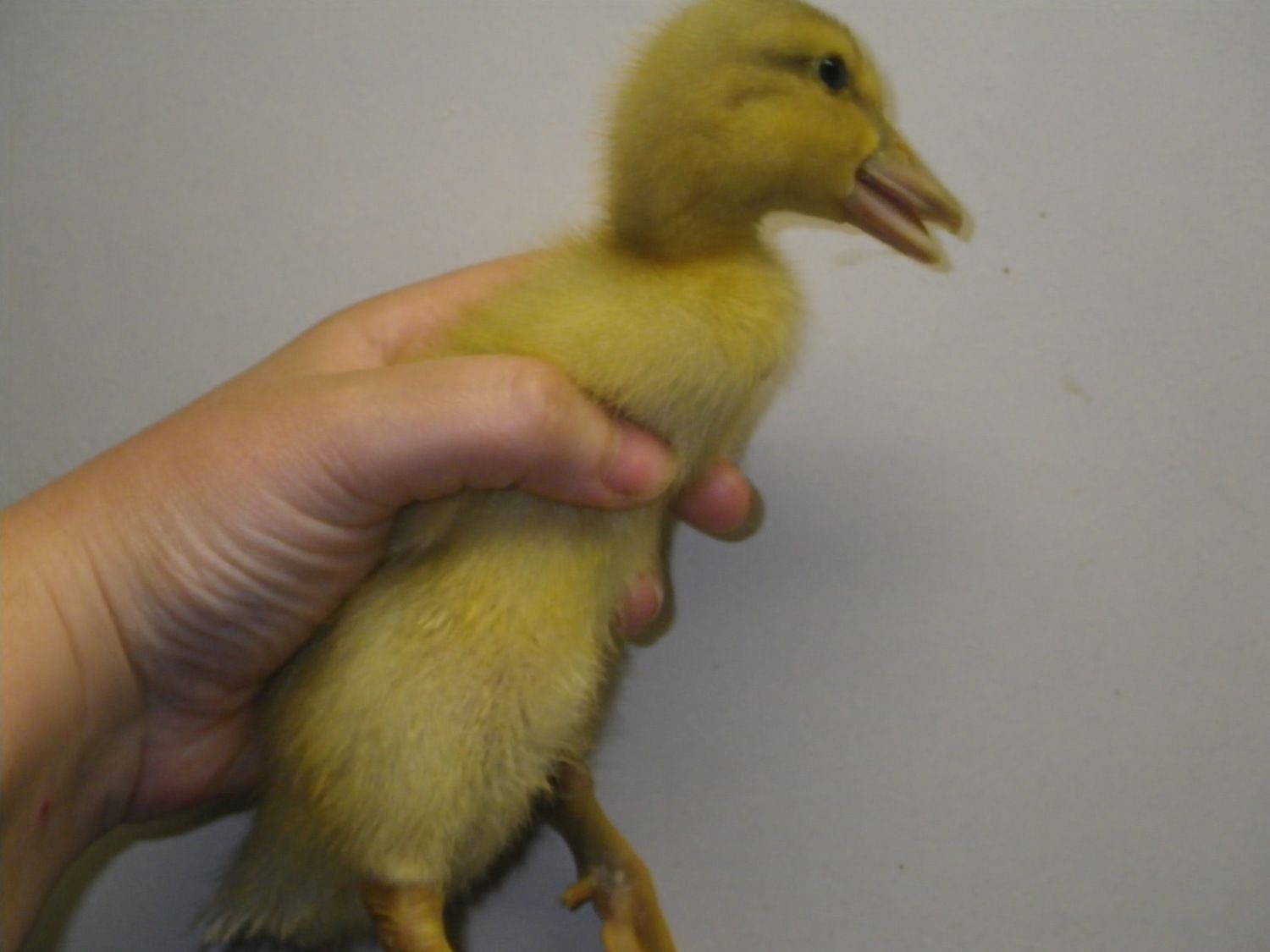 April 2012 022.JPG