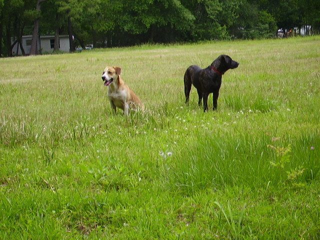 PICT0031 (10).JPG
