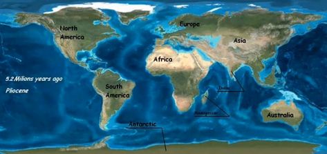 Pliocene .jpg