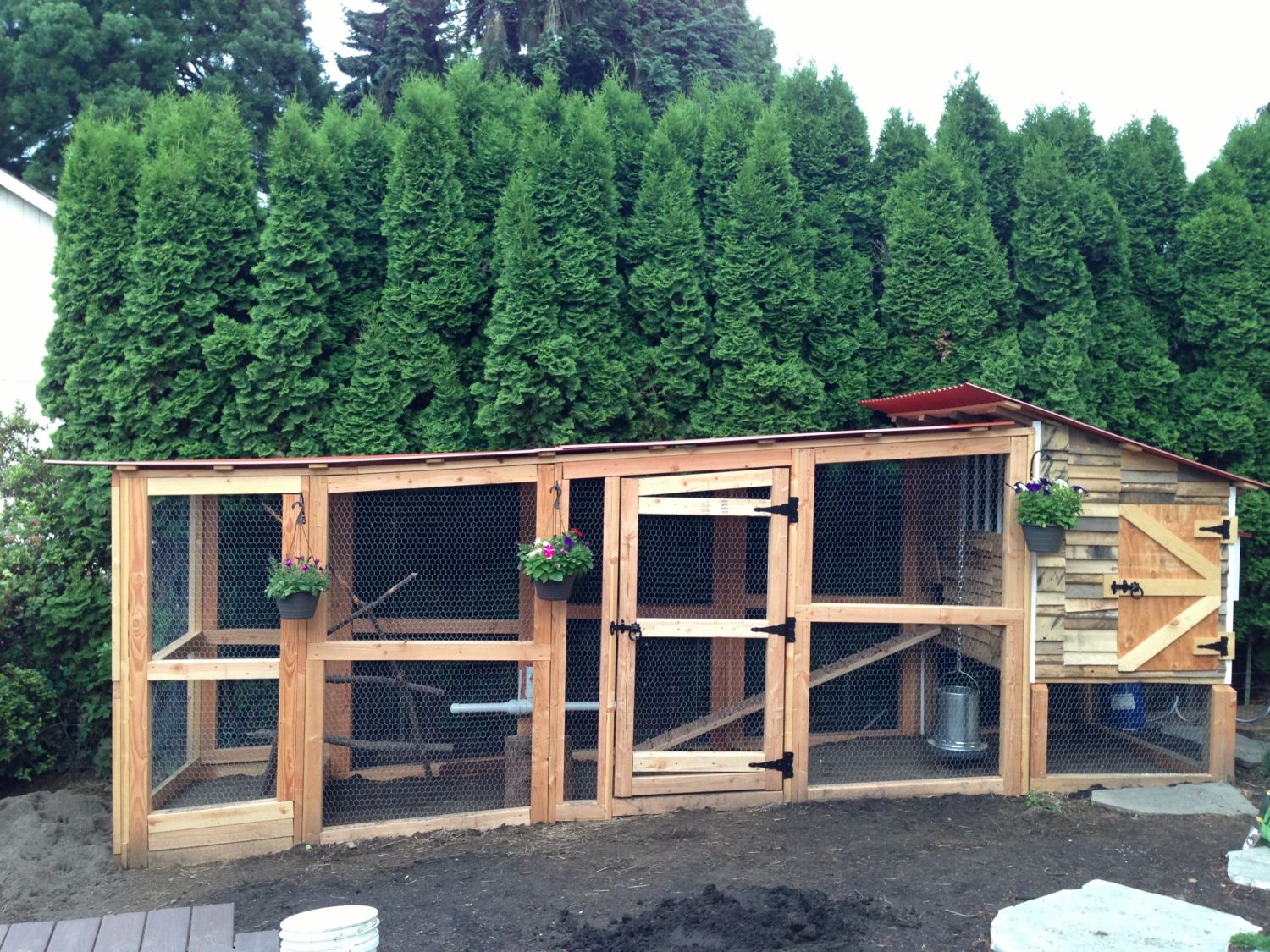 Chicken coop made from refurbished wood, windows and siding is old 