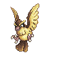 pidgey104
