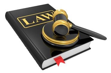 Chicken Laws and Ordinances (And how to change them)