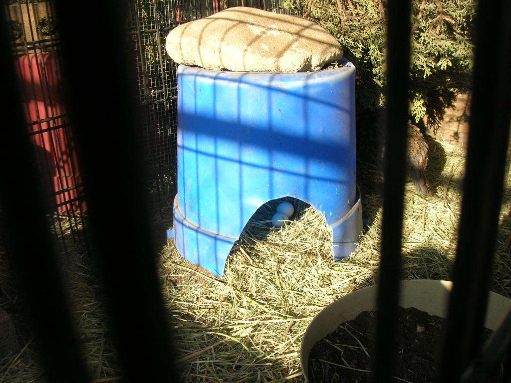 DSCN1528.JPG