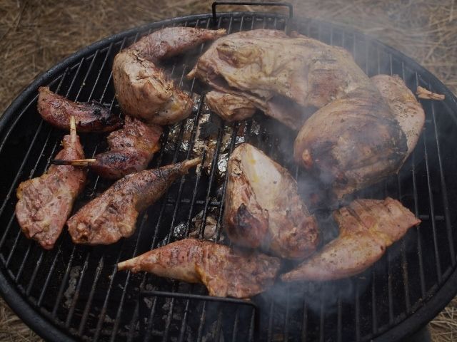 P3180132 (640x480).jpg
