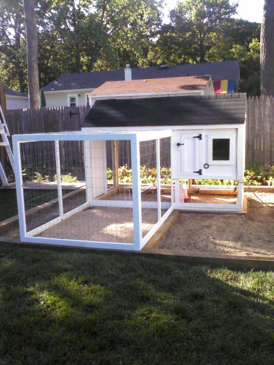 P06-15-12_17.39.jpg