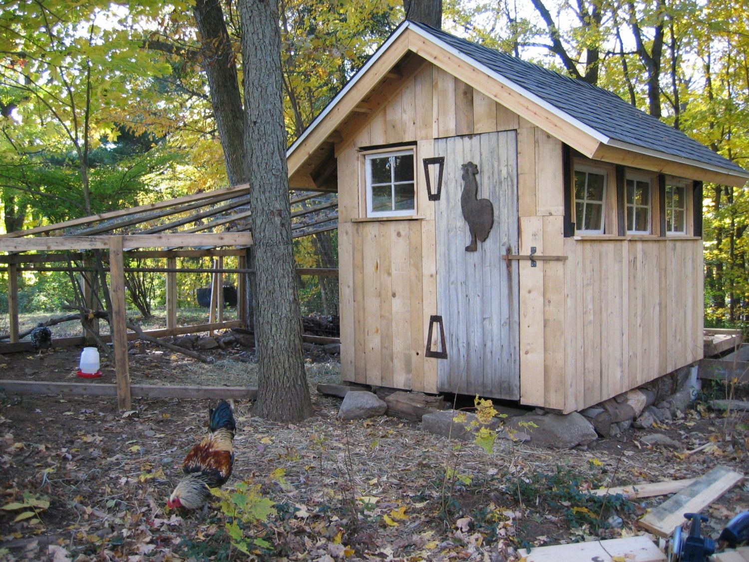 owners coop rearing a the took are chicken coop introduction