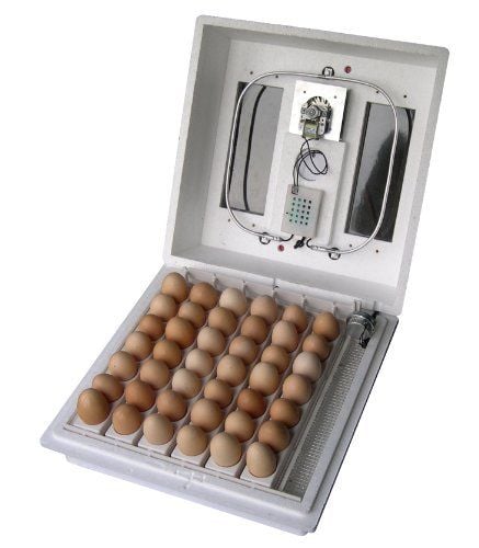  4200 Pro Series Circulated Air Incubator with Automatic Egg Turner