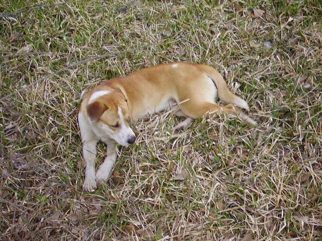 PICT0138.JPG