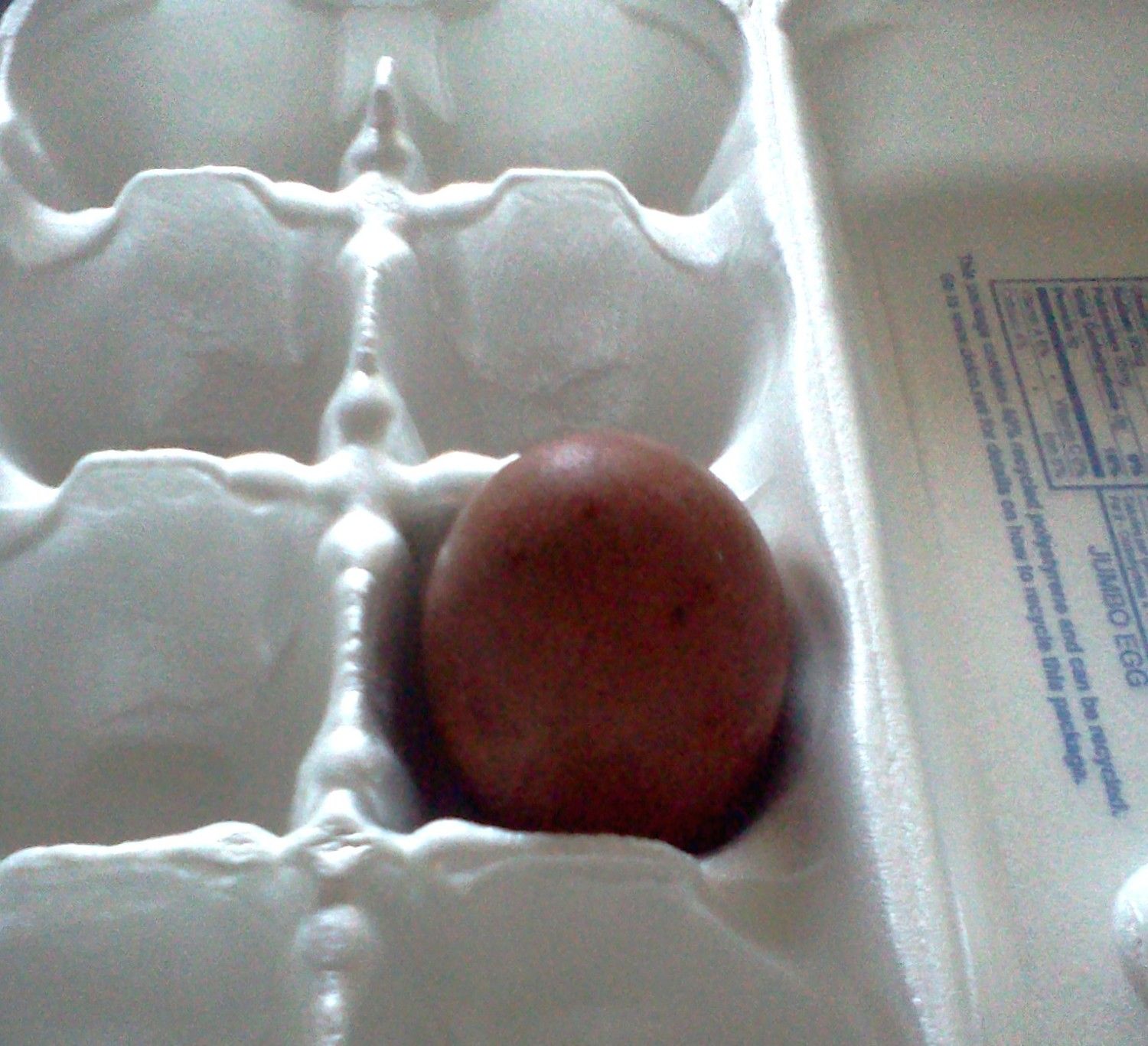 1st egg01.jpg