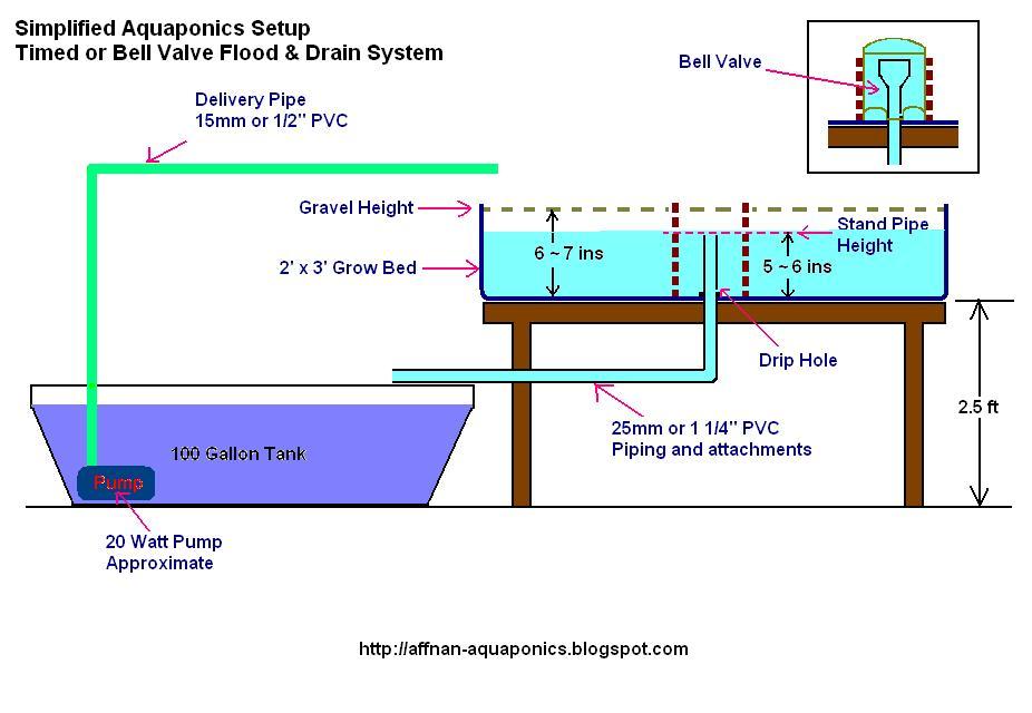 Aquaponics+1.JPG