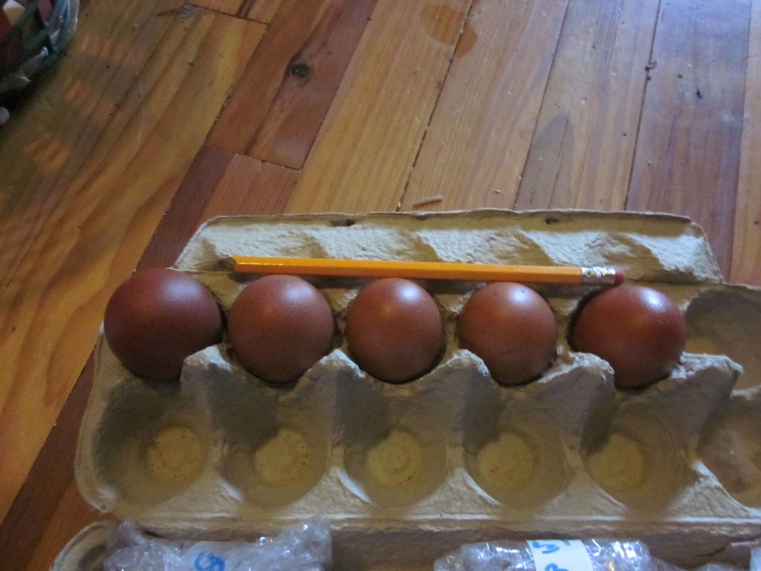 bargain's photos in Buy it now: 10+ Wheaten Marans Hatching Eggs great bloodlines Ship wk of March 4