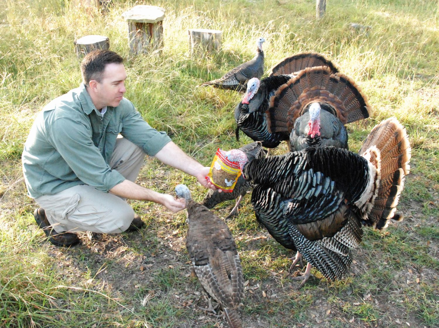 Byronturkey2.jpg