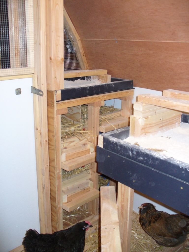 How do I keep my coop clean?