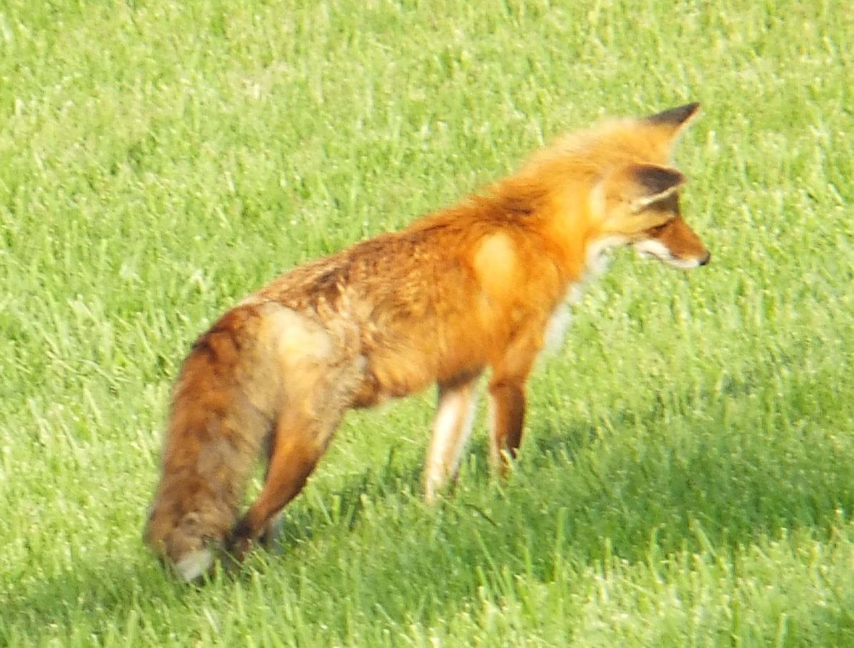 DSCF7270.JPG