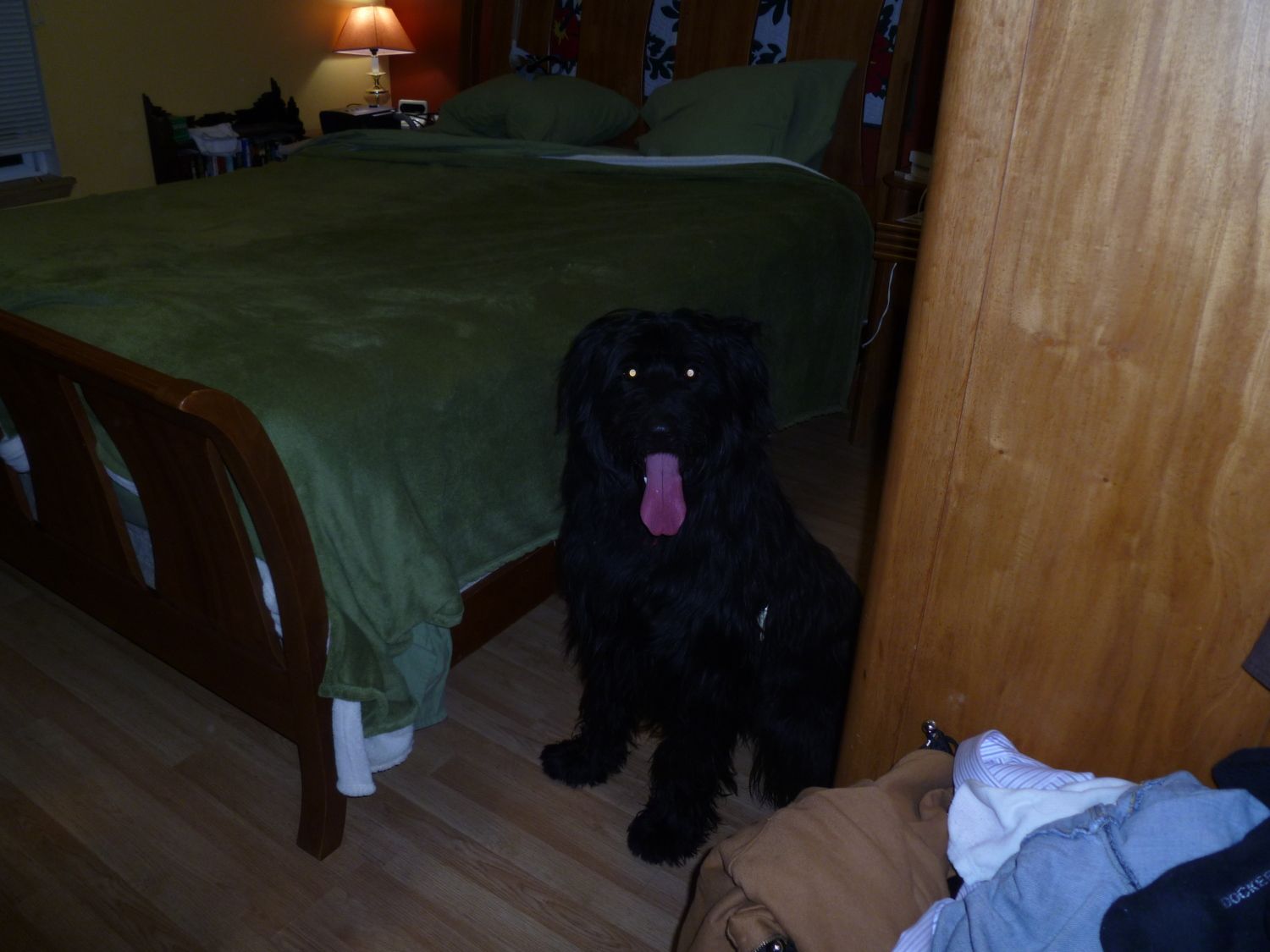 600x450px-LL-df298b5d_FerryBoatsandJet008.jpeg