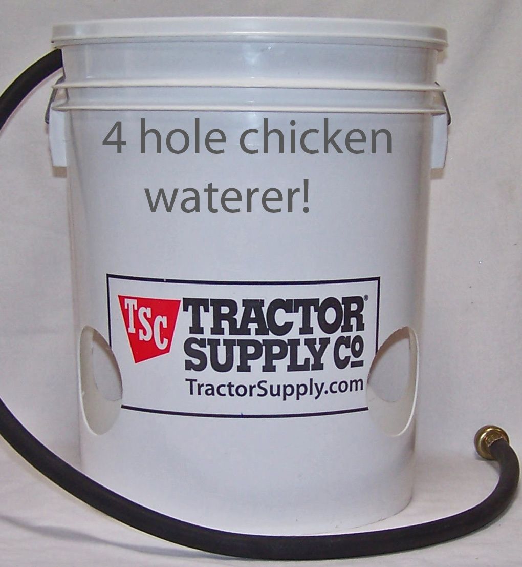 EBAY- "Custom made automatic chicken waterer"