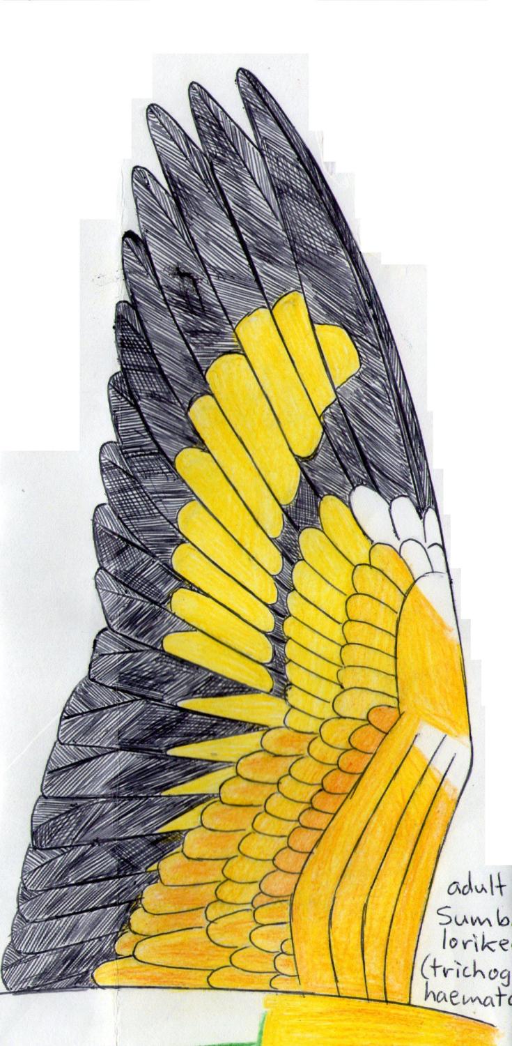 Posted Image