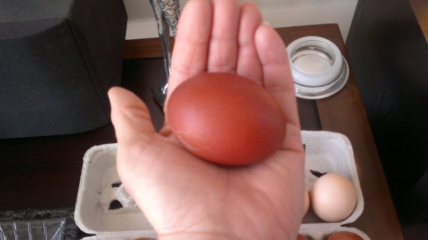 337
