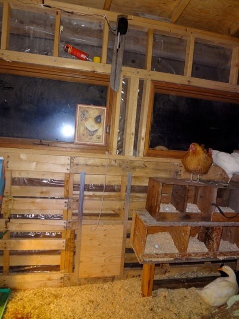 DSC00188.jpg