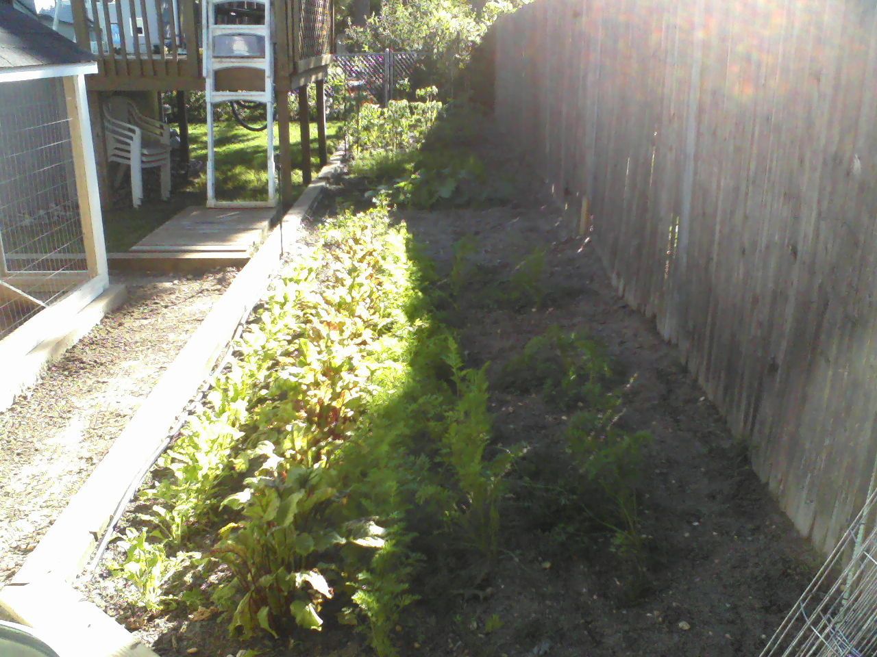 P06-15-12_17.37.jpg