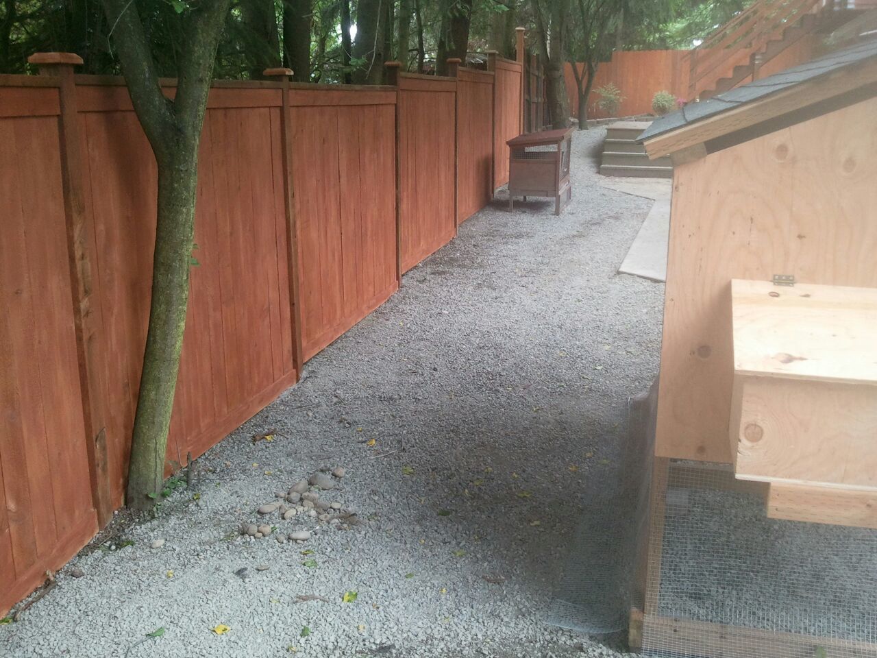 New Privacy Fence.jpg