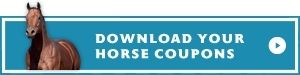 Horse.jpg