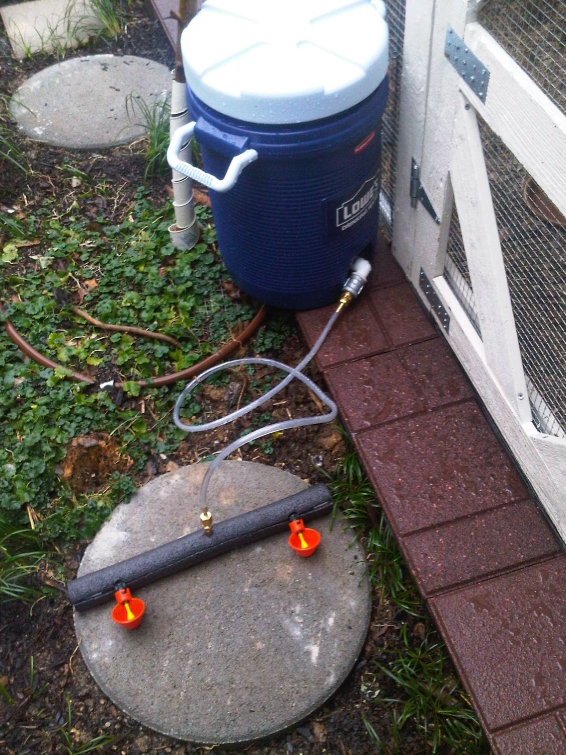 waterer-1.jpg