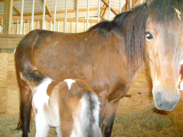 SANY0350.JPG