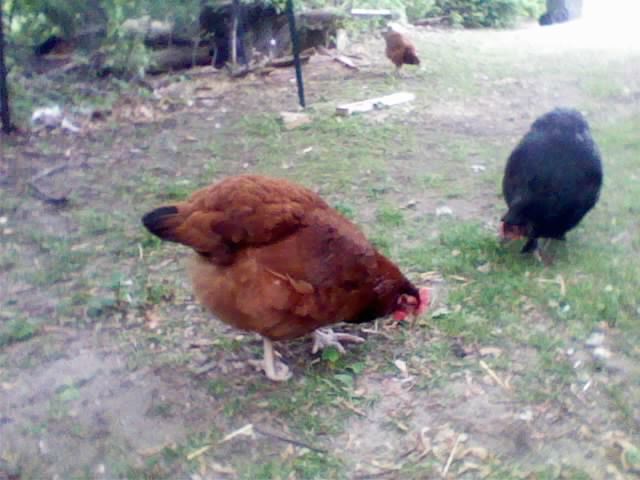 May25_003.jpg