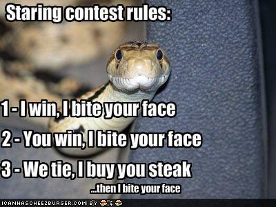 c23bb92c_funny-pictures-snake-will-bite-your-face.jpeg